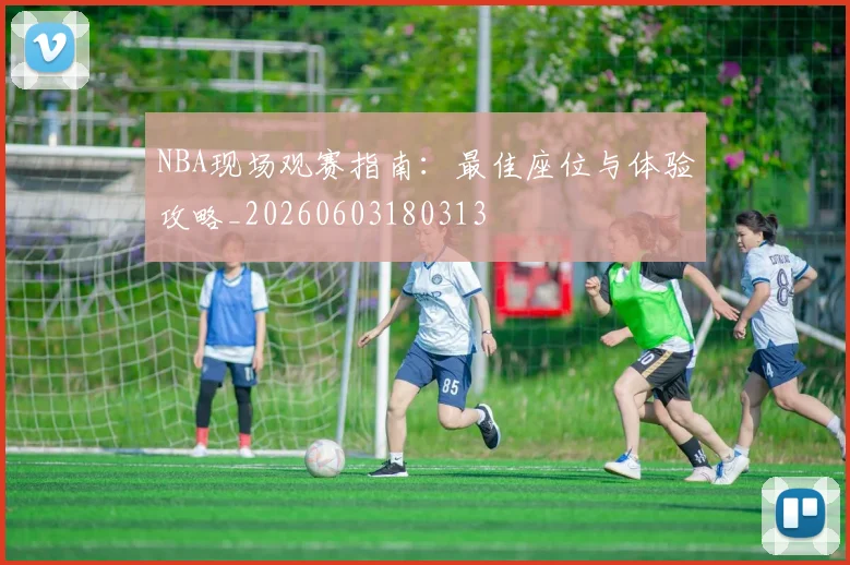 NBA现场观赛指南:最佳座位与体验攻略_20260603180313